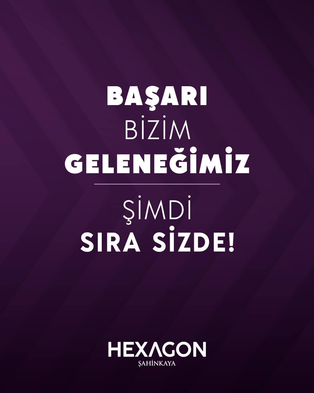 Hexagon Eğitim Kurumları